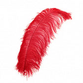 Ostrich Feather Plume 55-60 cm - #20 RED